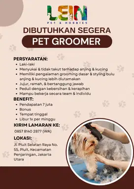 Lowongan Grooming Styling Anabul Pluit