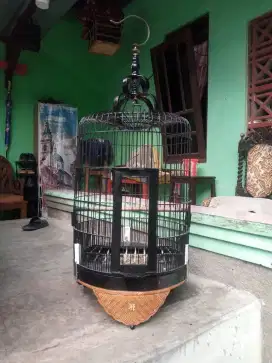 Sangkar anis alusan
