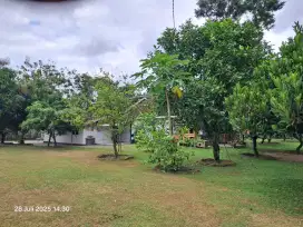 Dijual tanah SHM