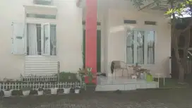Disewakan rumah di pusat kota Pekanbaru