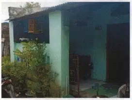 KELURAHAN MOJOSARI REJO, DRIYOREJO GRESIK