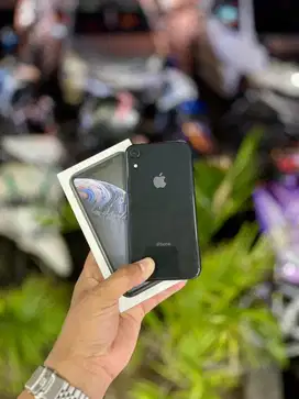 iPhone Xr 128gb iBox Resmi