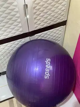 dijual gym ball speed