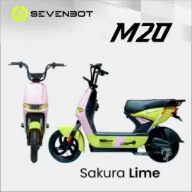 SEPEDA LISTRIK SAVENBOOT M20
