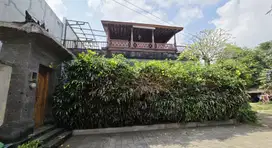 Villa Classic singapadu ubud Bali