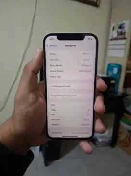 iPhone 12 64gb All Provider