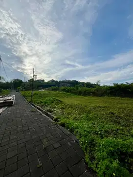 DIJUAL TANAH DEKAT PANTAI PANDAWA bonus air dan listrik