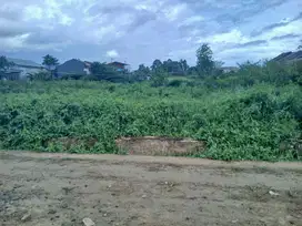 Jual Tanah di Kota Sorong ,UTI km 13,Luas 50 X 50