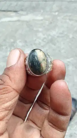 Batu akik fosil kelor din 17x12x6 mm