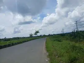 Jual Tanah di kota Sorong jln.Kontenet ,1,5 Hektar