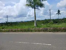 Jual Tanah di Kab.Sorong Jln.Kontene, Luas 1,5 Hektar