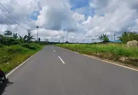 Jual Tanah di Kab.Sorong Jln.Kontener, 1 Hektar