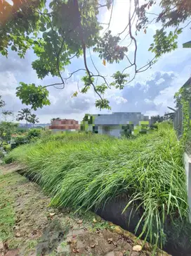 Dijual Tanah Kavling Sukajadi Batam Center ( Dijalan Utama Sukajadi)