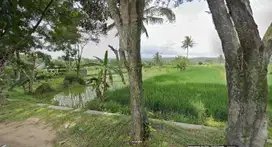 Jual Tanah Kowangan Temanggung – 10104