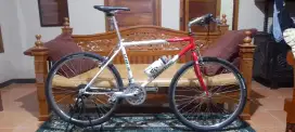 Jual sepeda BRIDGESTONE MB-2