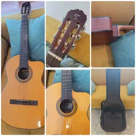Gitar Takamine G series