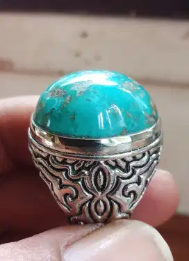 Pirus persia biru