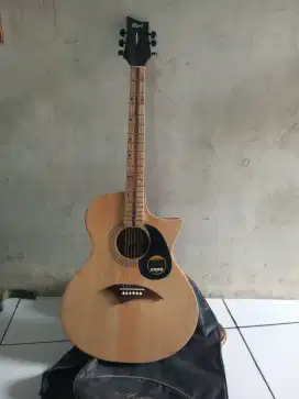 Gitar kplong bekas