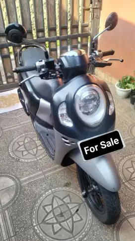 Honda NEW scoopy