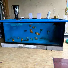 KOLAM IKAN BAK FIBER 150 x 80 x 60