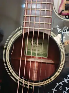 Guitar Accoustic Takamine ED2DC-BLK