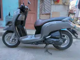 Scoopy Stylish 2020