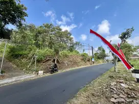 Lahan Luas 5.000m Pinggi Jalan Raya Dau Sengkaling Malang