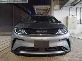 BYD Dolphins Dynamic NIK 2025 | Last Stock! | Rare Collour (Urban Grey