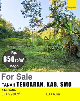 DIJUAL TANAH DI TENGARAN KAB SEMARANG A4439