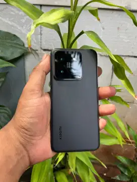 Xiomi mi14, Bukan mi14T