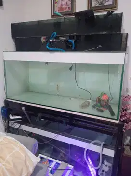 Dijual Aquarium ikan