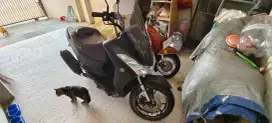 Yamaha LEXI 2019 Low KM 3000