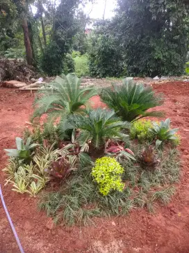 JASA PEMBUATAN TAMAN DAN KOLAM IKAN