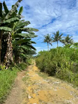 Dijual Tanah Ukuran 13x40m