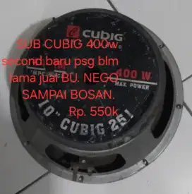 SUB CUBIG 10 IN