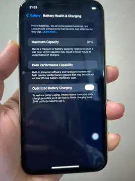 Iphone 11 256 gb ( bea cukai )