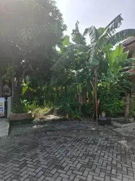 Jual tanah ngantong di Pantai Mentari