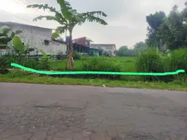 Di Jual Tanah Sawah Luas Sleman Ngemplak