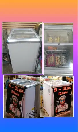 RSA Freezer Sliding Door
