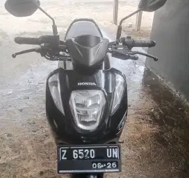 Honda Genio 2021 orsinil