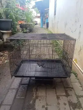 Kandang kucing hitam