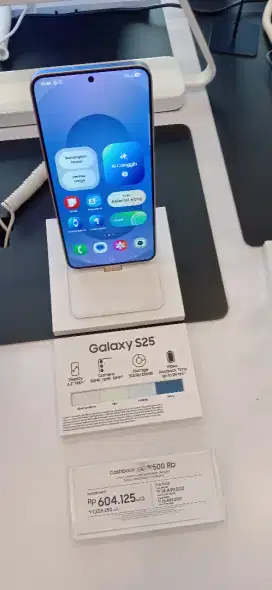 Samsung galaxy S25 12 256