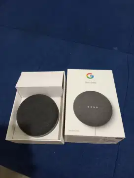 Google Nest Mini