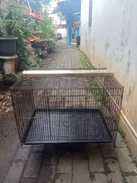 Kandang burung ,kucing ,anjing