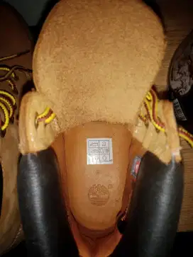 Timberland Asli