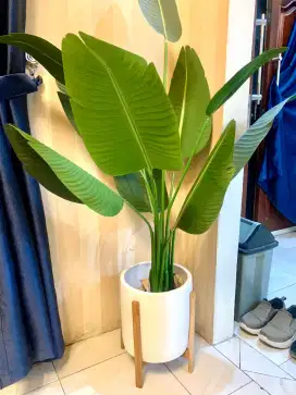 Bunga Daun Pisang Dekorasi
