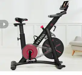 Yesoul S3 Home Spinning Bike Indoor