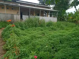 Sale Rumah Cempaka Putih Barat