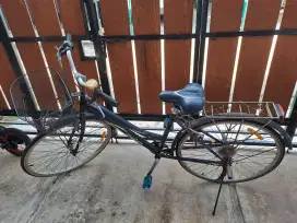 Jual Sepeda Keranjang Vivacycle