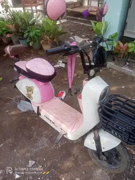 Selis exotic veloce